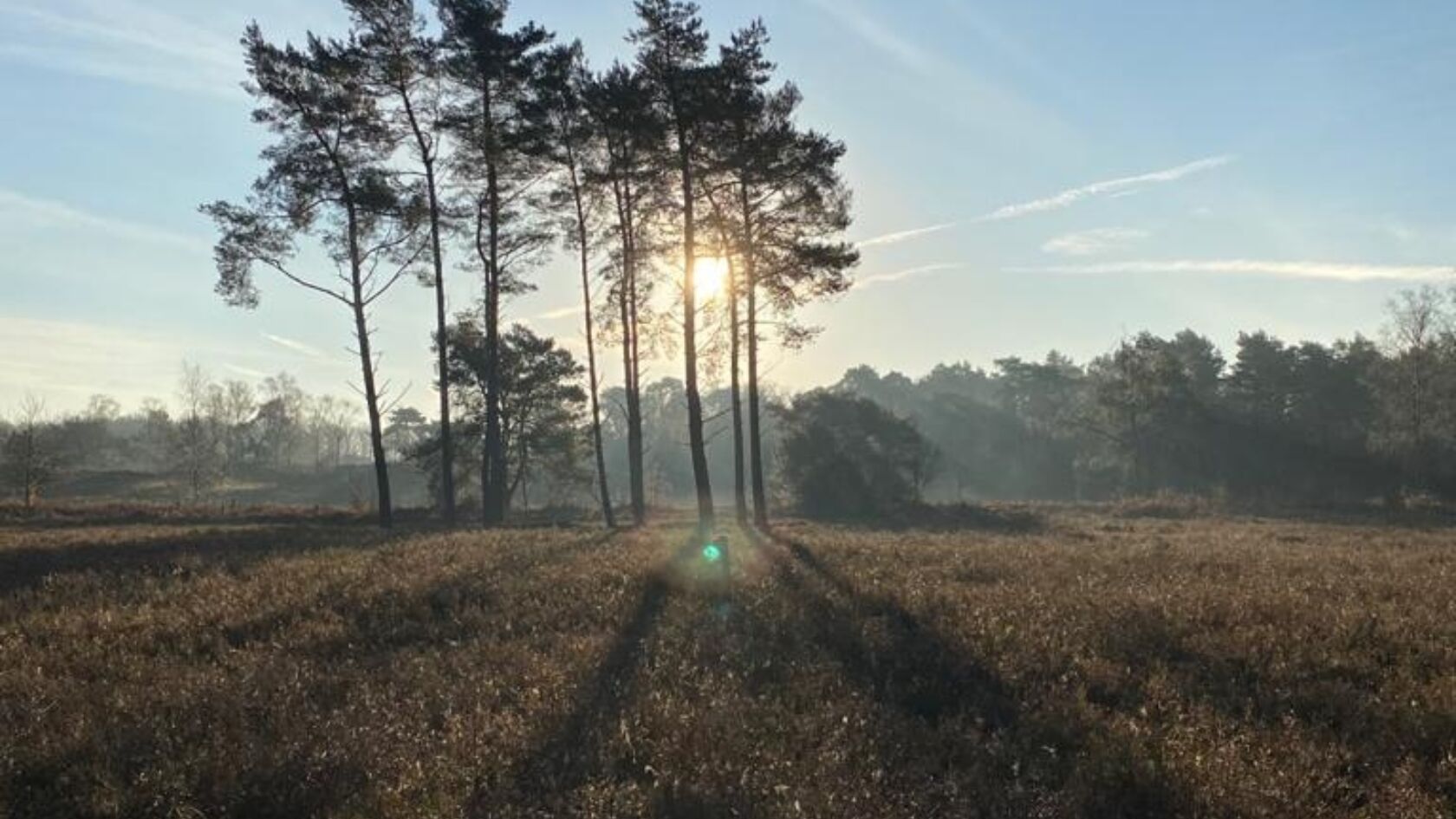 Kees Larooij over de juiste uitvoering van goede voornemens
