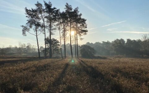 Kees Larooij over de juiste uitvoering van goede voornemens