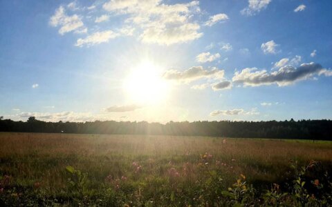 Vakantietijd voor Kees Larooij