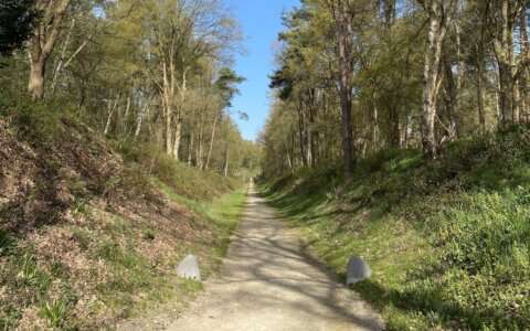 Kees Larooij over lopen in schuldig landschap