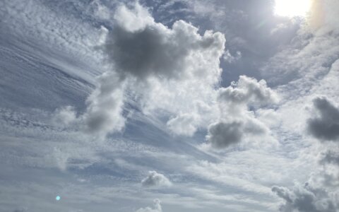 Kees Larooij over maniakale toewijding van topatleten