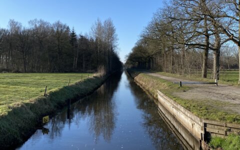 Kees Larooij is geen fan van de ochtendloop