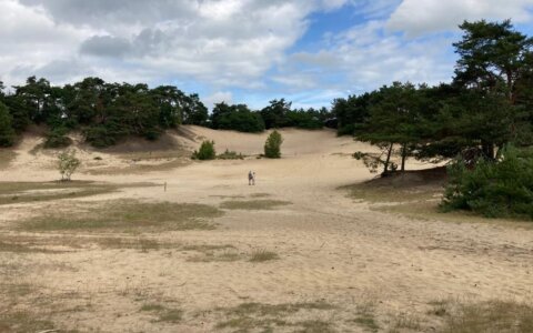 Bert geniet van het lopen in de Loonse en Drunense Duinen