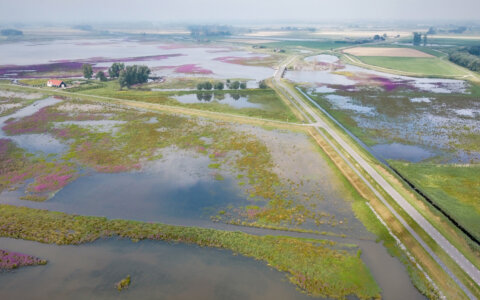 Hardlopen in Nationaal Park De Biesbosch