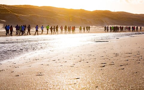 De hardlopen.nl halve marathon kalender jun-dec 2024