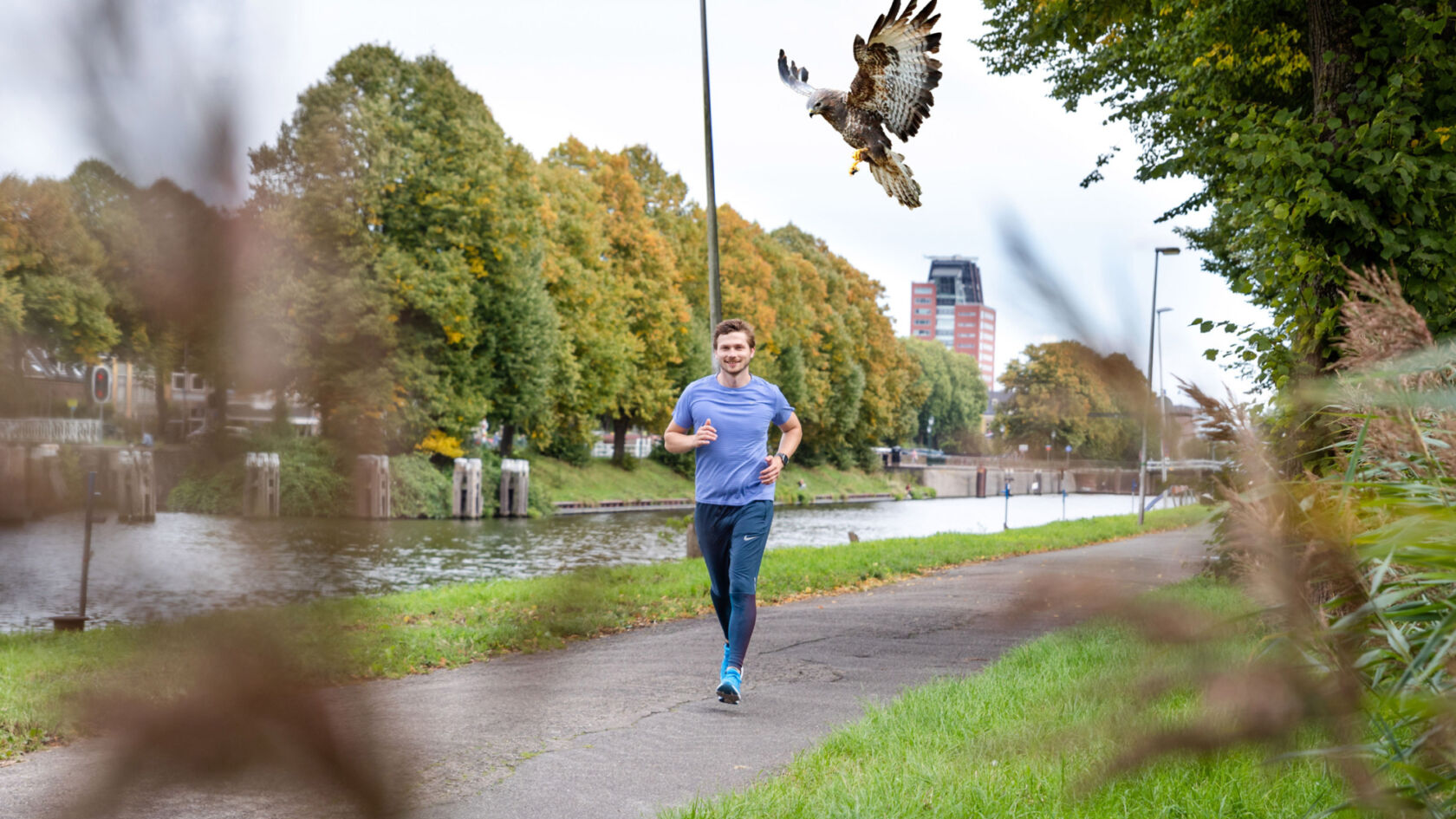 Pas op voor de buizerd