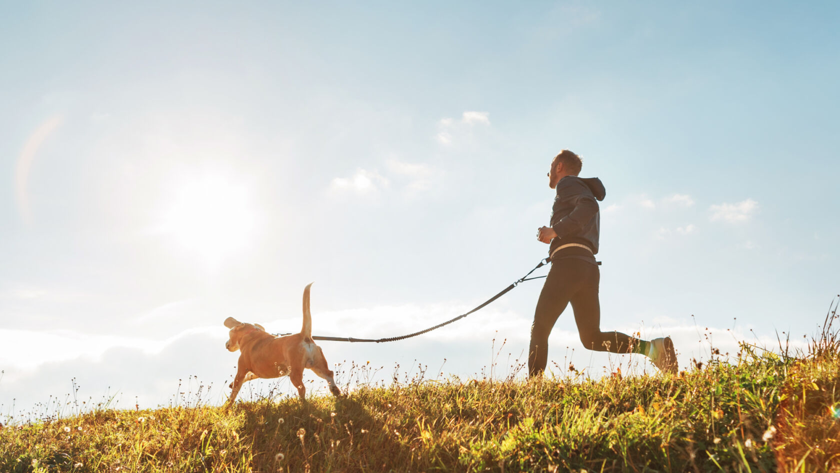 7 tips voor hardlopen met je hond
