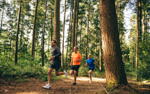 Trail en trein: van A naar B lopen