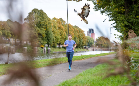 Pas op voor de buizerd