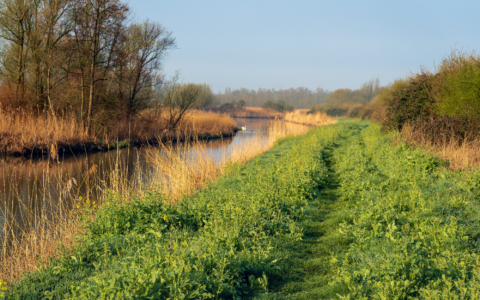Hardlooproutes in Brabant
