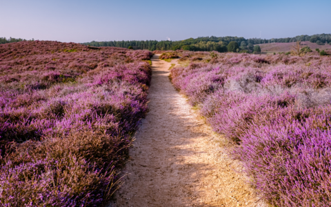 Hardlooproutes in Gelderland