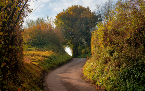 Hardlopen in Limburg
