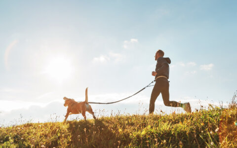 7 tips voor hardlopen met je hond