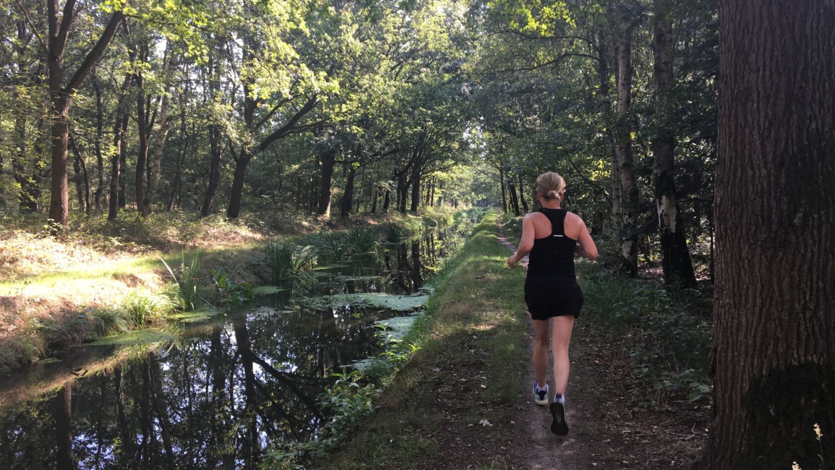 Hardlooproute: MTB Liessel