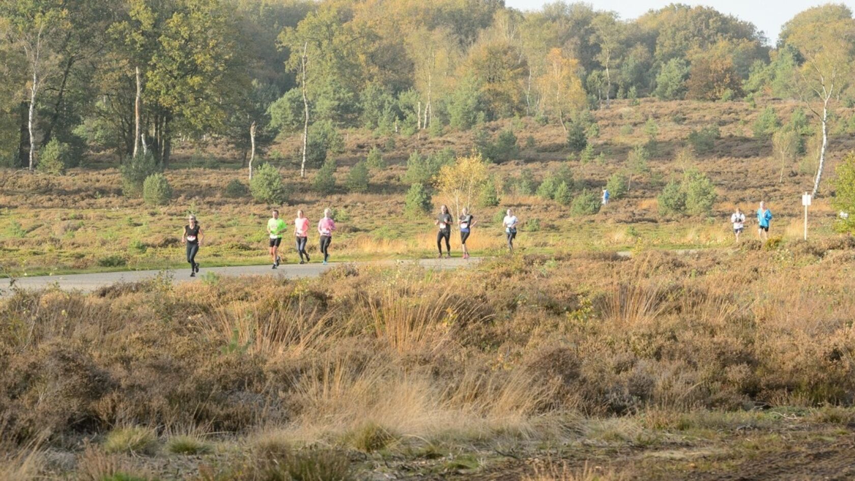 Diepe Hel Holterbergloop heeft een parcours als een ansichtkaart