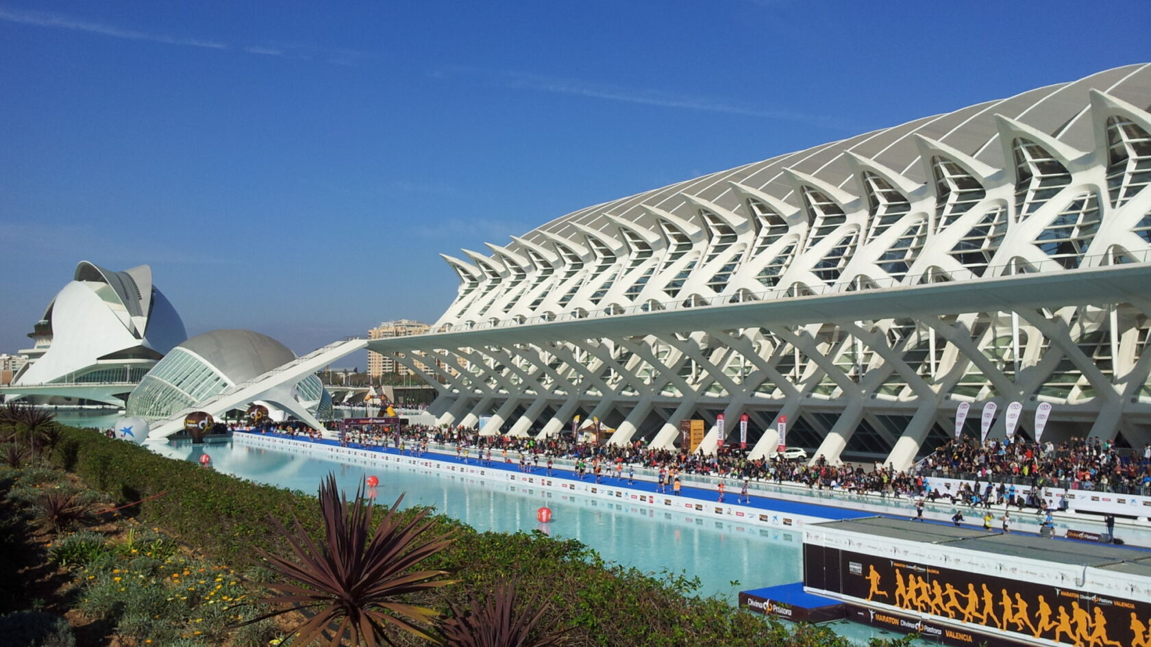 Brengt Global Running Day jou naar de Marathon in Valencia?