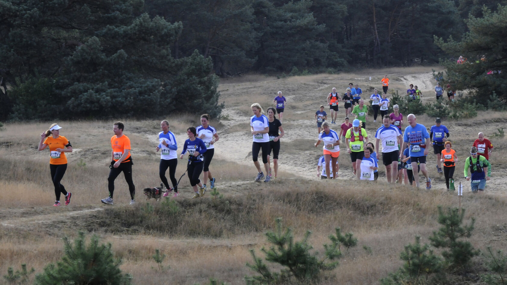 Hardlopen op de Hoge Veluwe tijdens Loopweekend