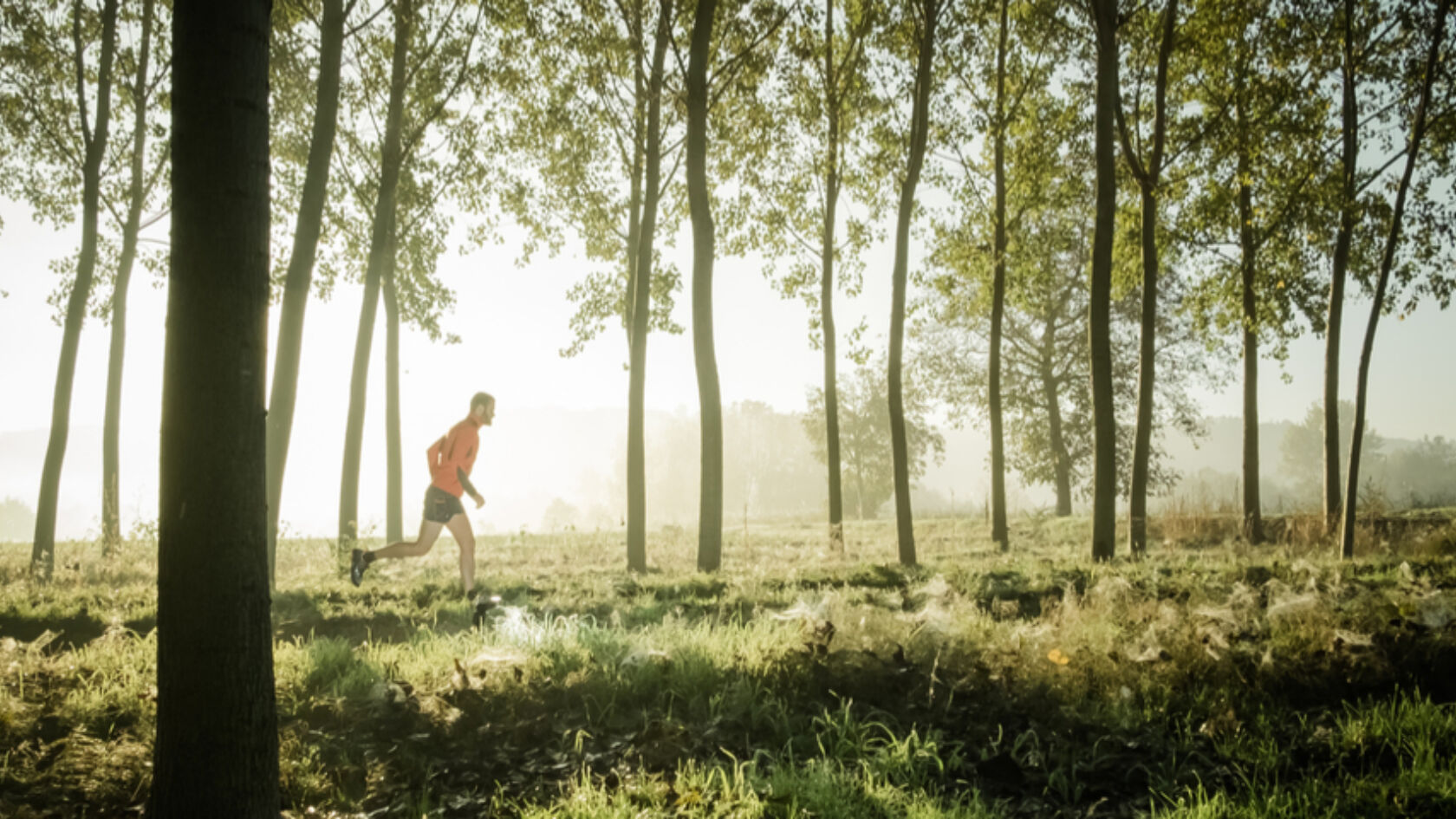 Hardlooproutes in… Doetinchem