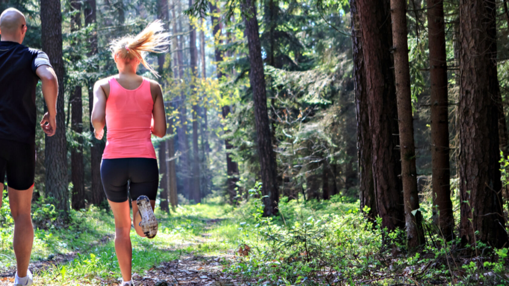 Hardlooproutes in... de Utrechtse Heuvelrug