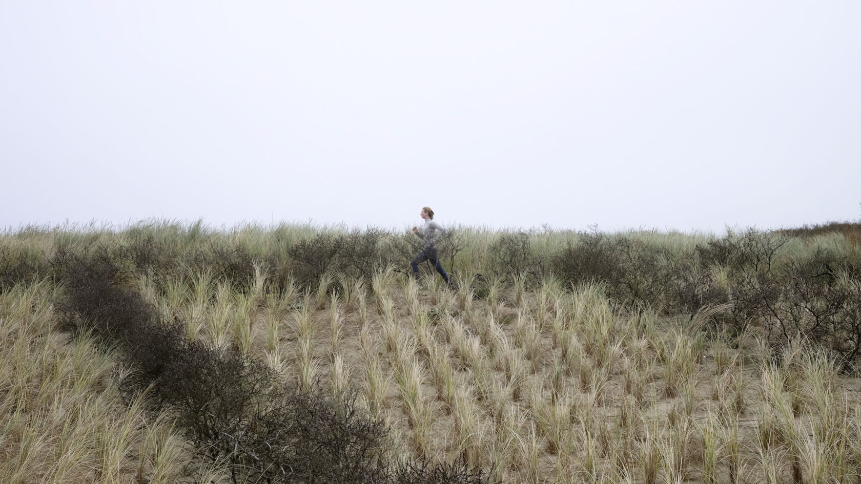 De mooiste hardloopplekken in... Den Haag