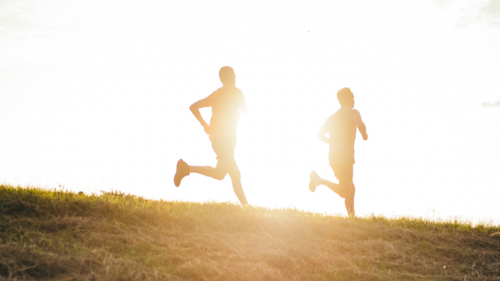 Thuiswerken is topsport