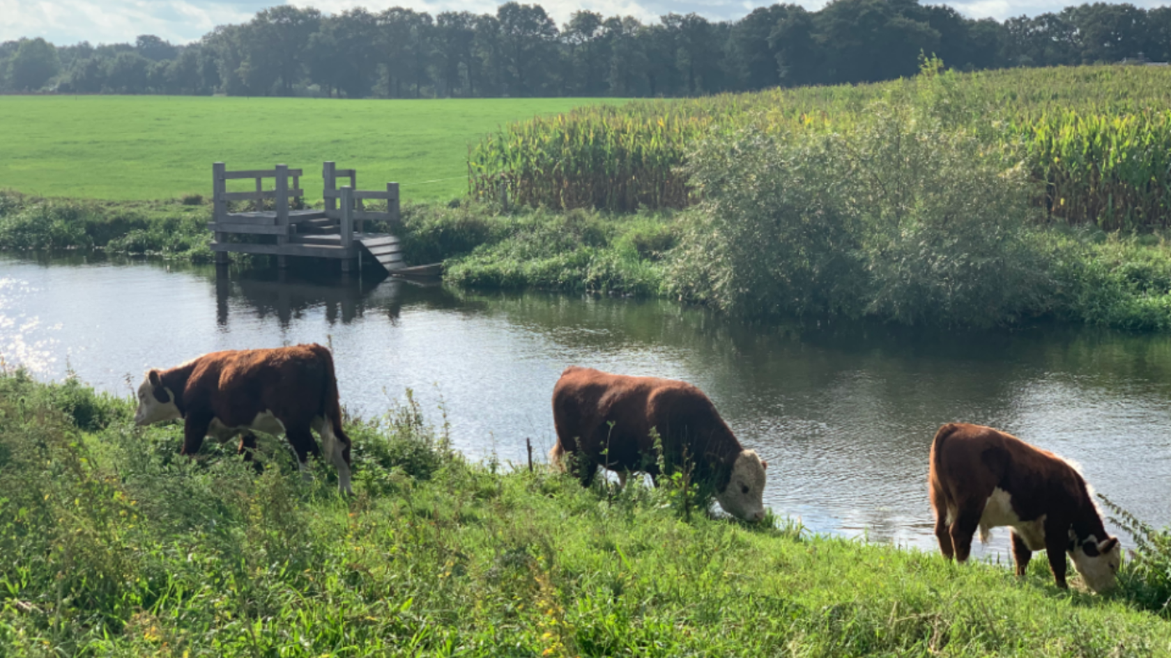 Hardlooproute: Rondje Regge