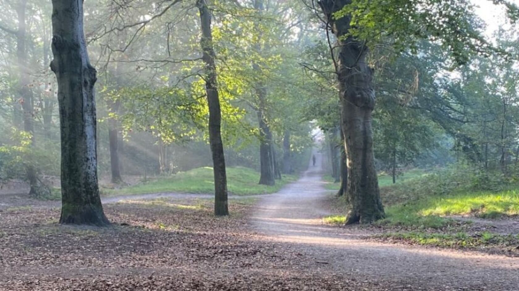 Kees Larooij vertelt over de grenzen van het lichaam