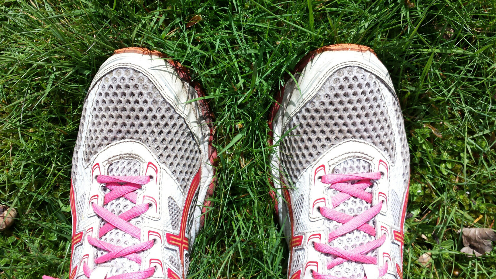 Kilometervreter Marloes van Zoelen: “Het hardlopen hielp me mijn dromen te realiseren”