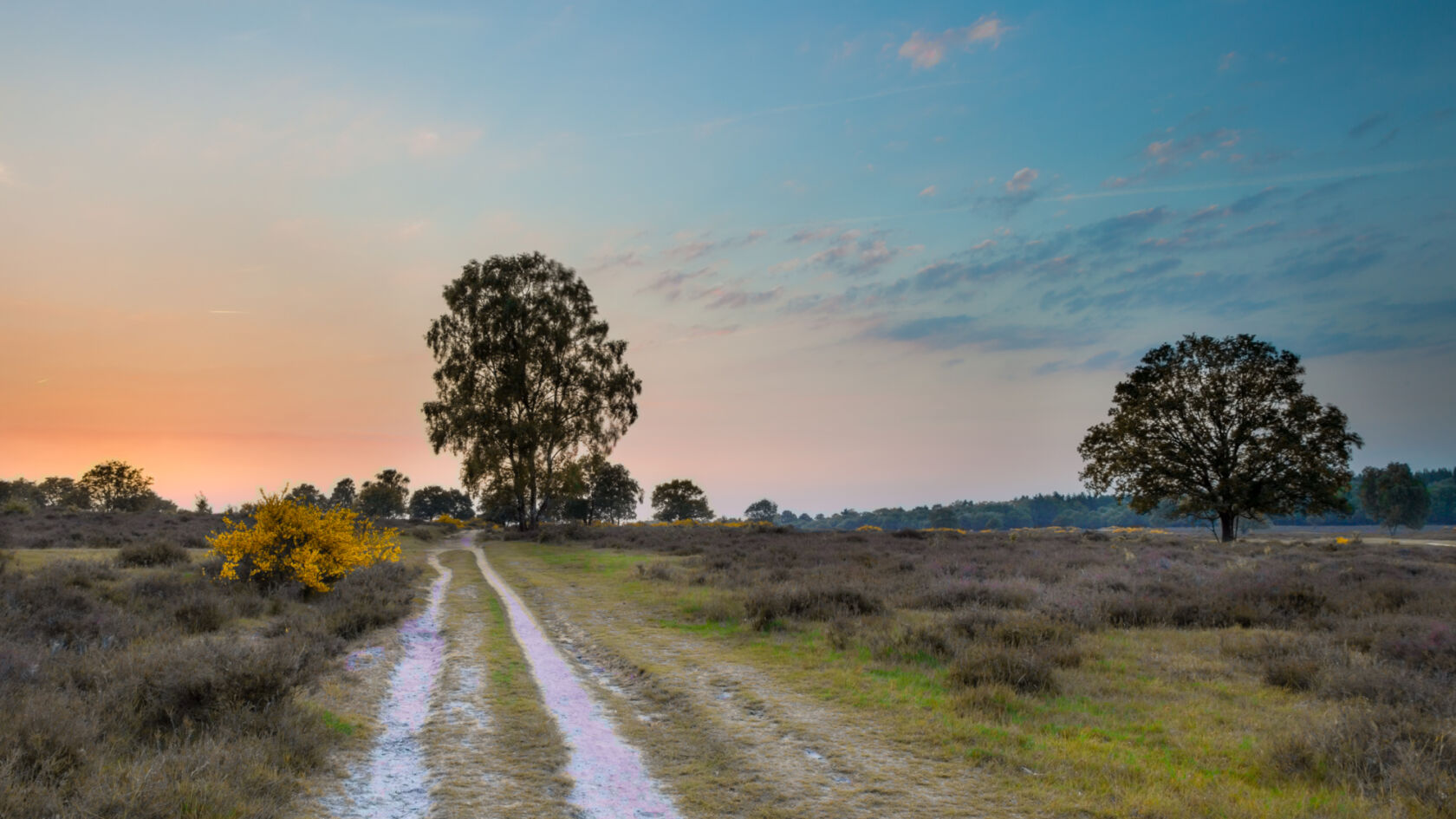 Column Marloes: vrouw zoekt hardlooproute