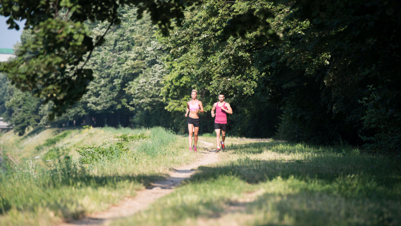 Kom vier dagen hardlopen op de groene Veluwe