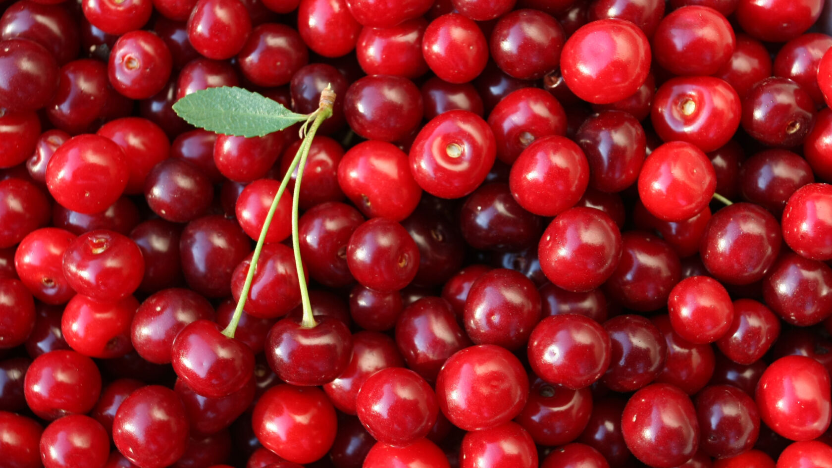 Voedingstip: Zeven makkelijke snacks tijdens een lange training
