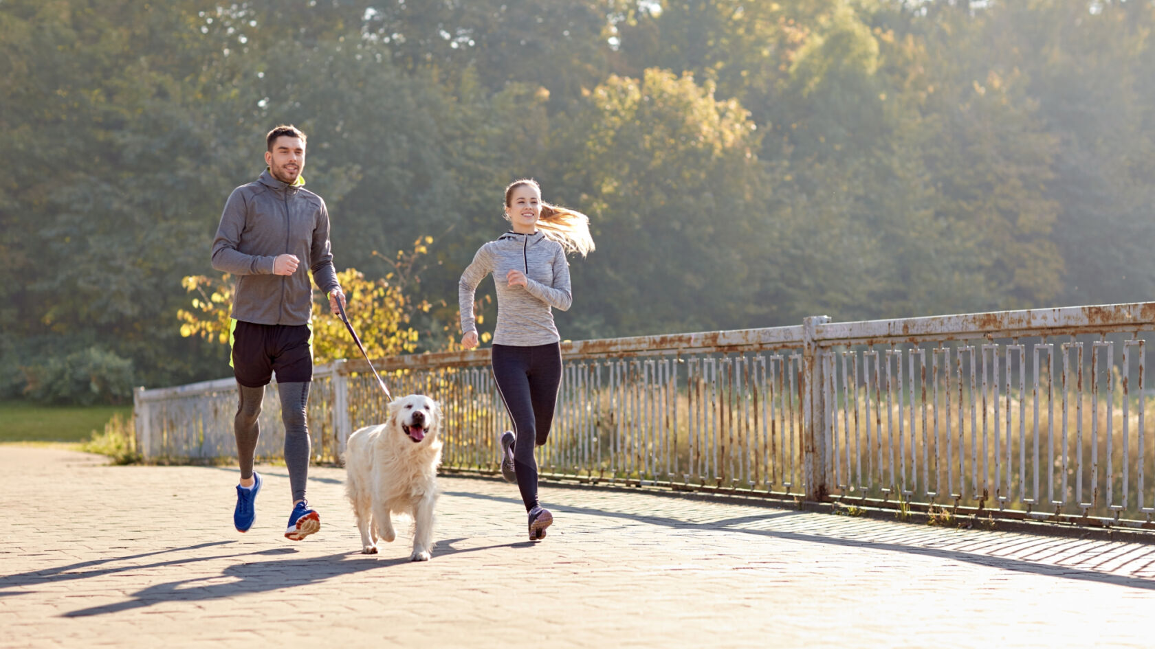 Hardlopen, het kan ook met de hond!