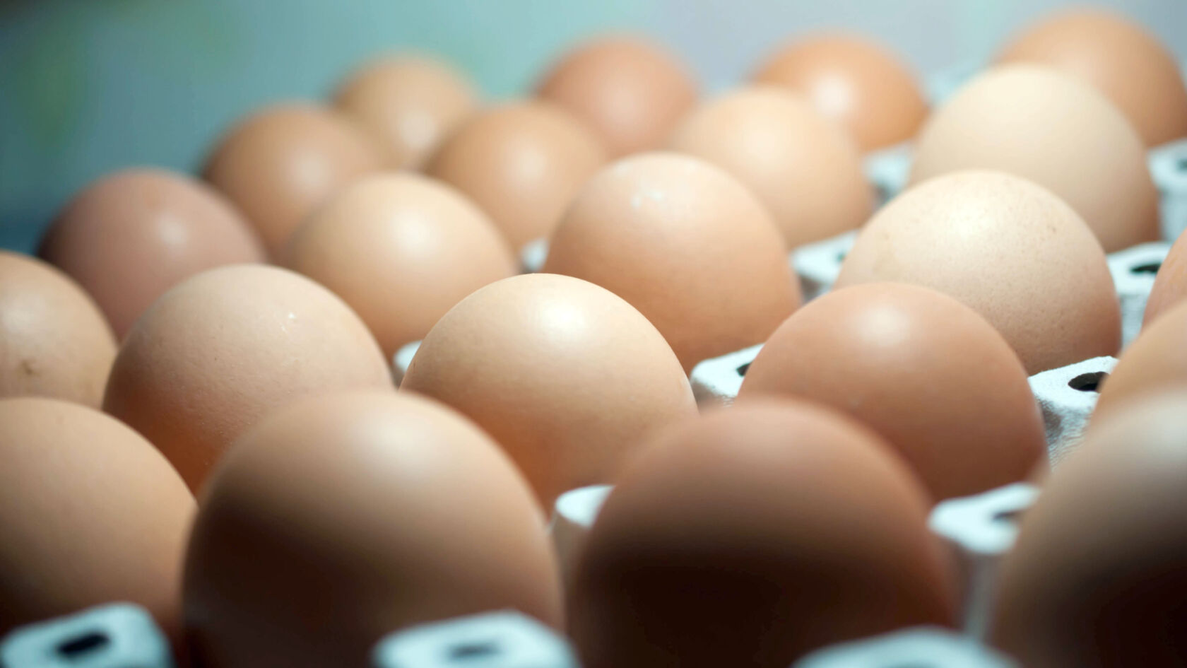 Hoe gezond zijn eieren eigenlijk?