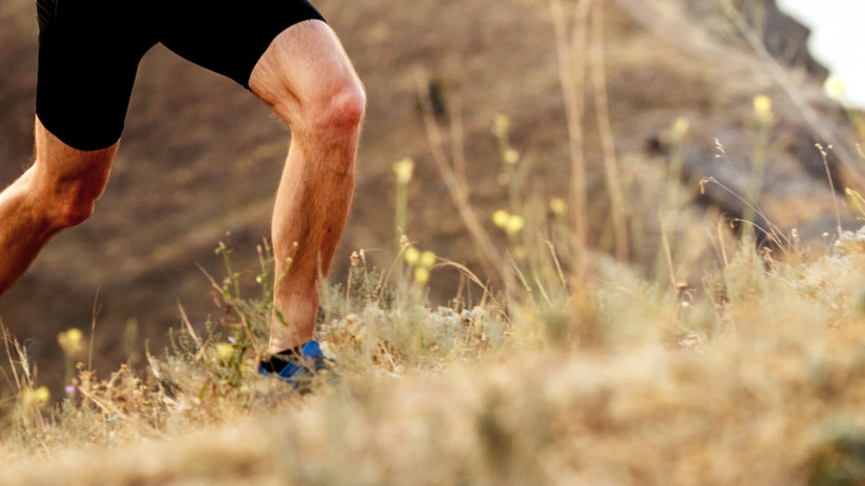 Teff: het grote geheim van een uniek graansoort