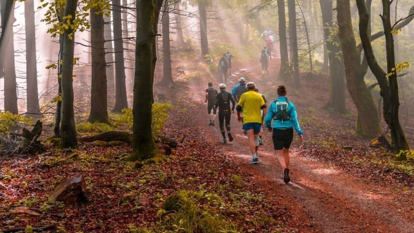 Wat heb je nodig voor trailrunning?
