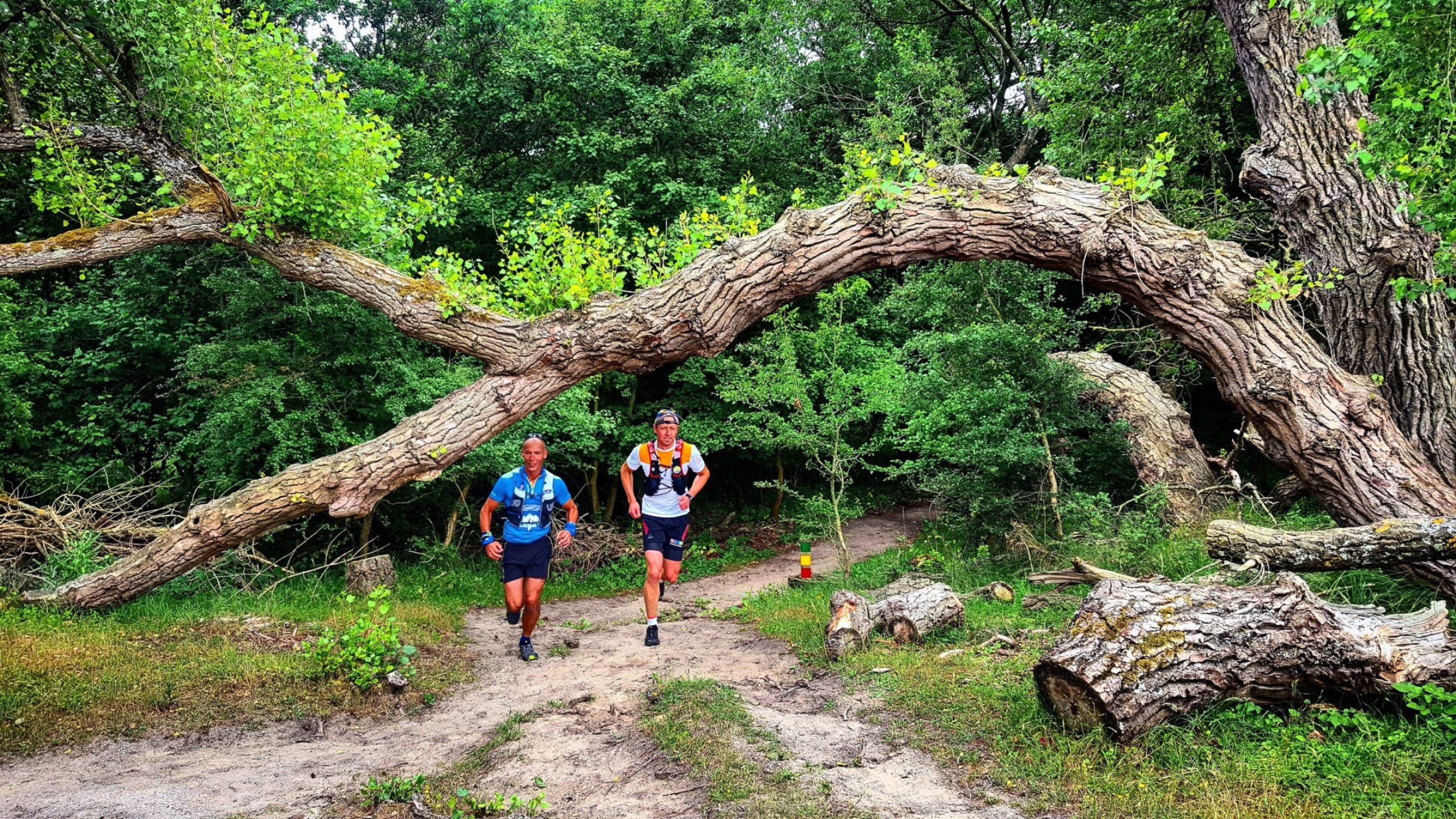 Eerste IJmuiden Kust Trail op 30 september