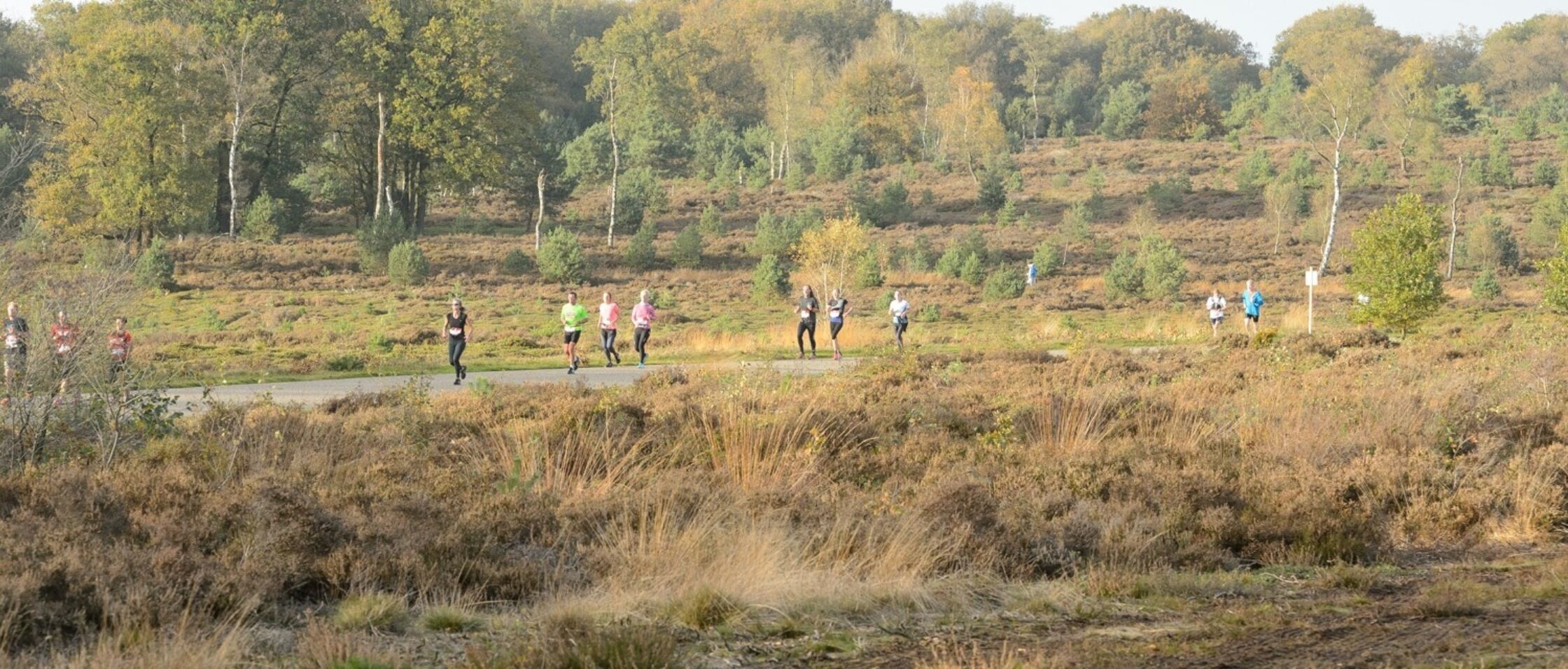 Diepe Hel Holterbergloop heeft een parcours als een ansichtkaart.