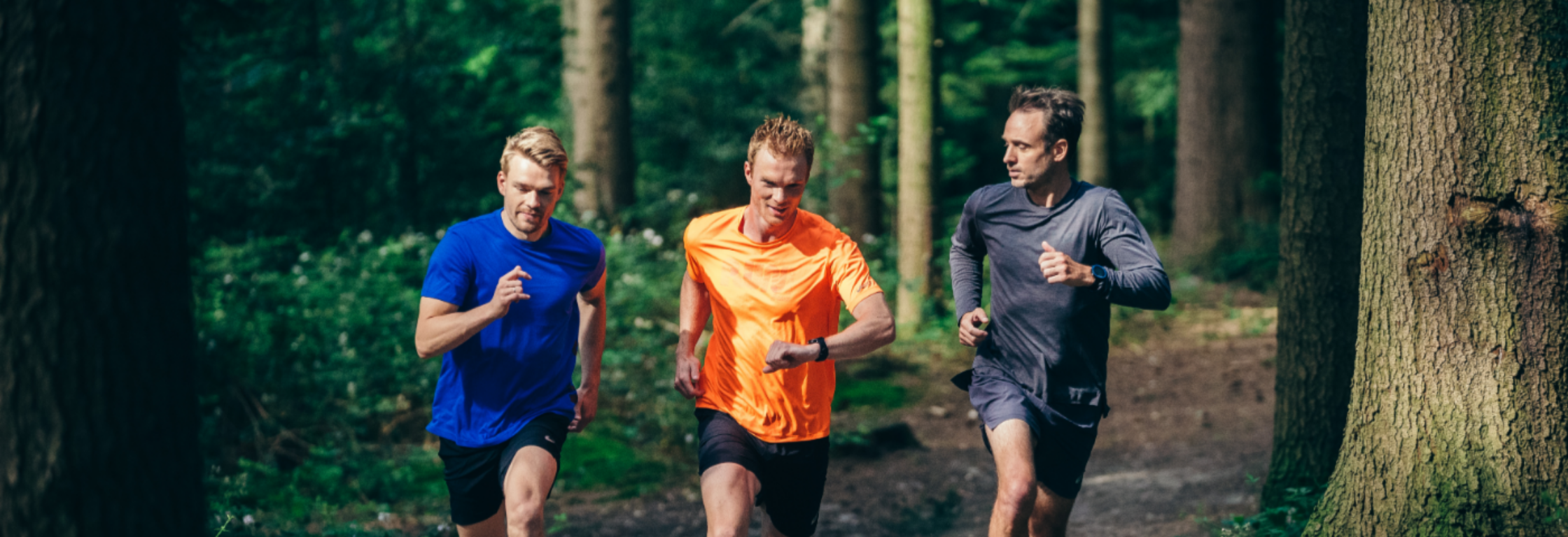 Waarom langzaam trainen loont