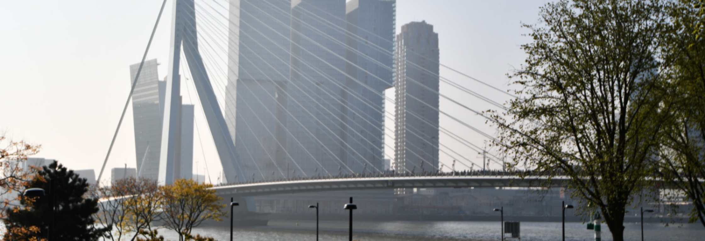 De marathon die hij nooit liep: hoe het had moeten zijn voor Pim Bijl