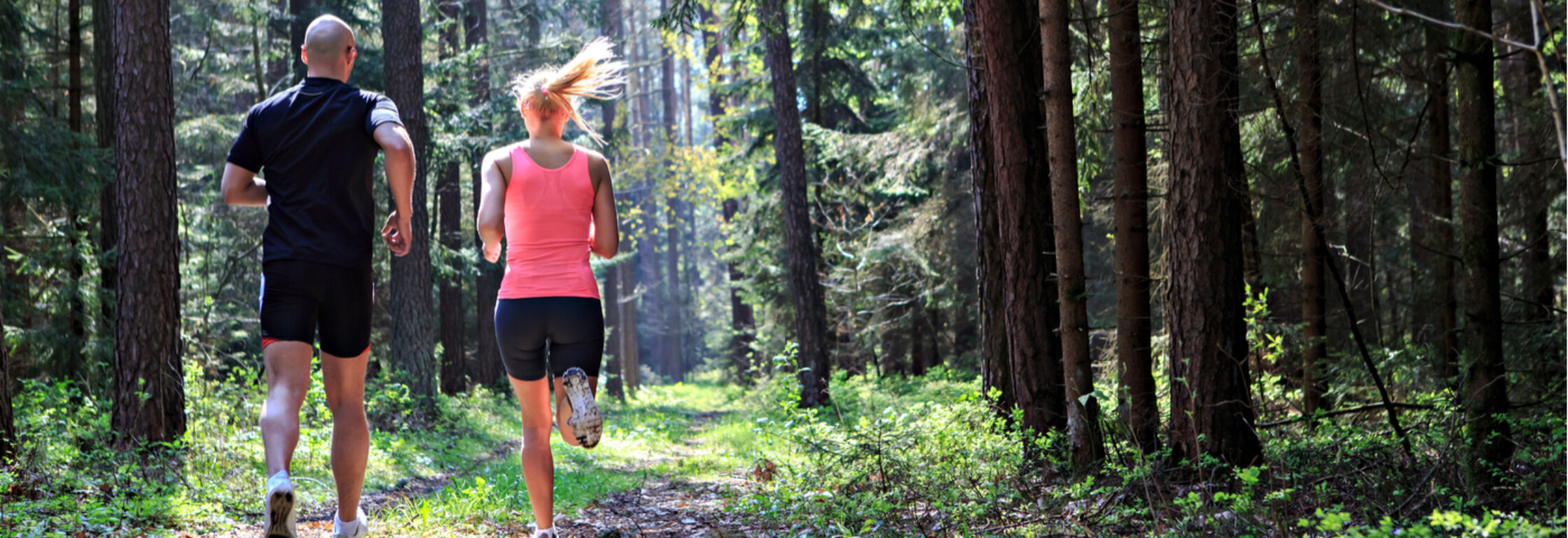 Hardlooproutes in... de Utrechtse Heuvelrug