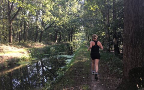 Hardlooproute: MTB Liessel