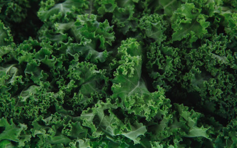 Boerenkool: energieleverancier