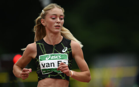 De mind van Diane van Es