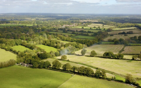 Dolf Jansen: Lopen daar waar het theater hem brengt