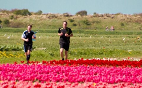 Crossen tussen de tulpenvelden door, een unieke ervaring!