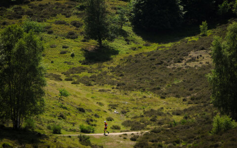 Uitdagend parcours is het visitekaartje van de Veluwezoomtrail