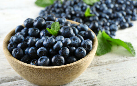 Fitter met een schaaltje blauwe bessen