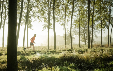 Hardlooproutes in… Doetinchem