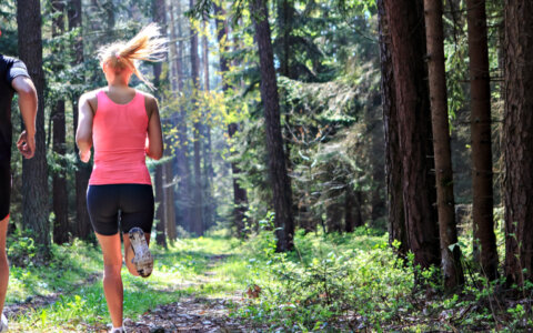 Hardlooproutes in... de Utrechtse Heuvelrug