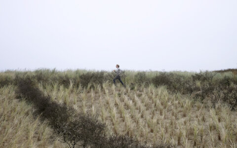 De mooiste hardloopplekken in... Den Haag
